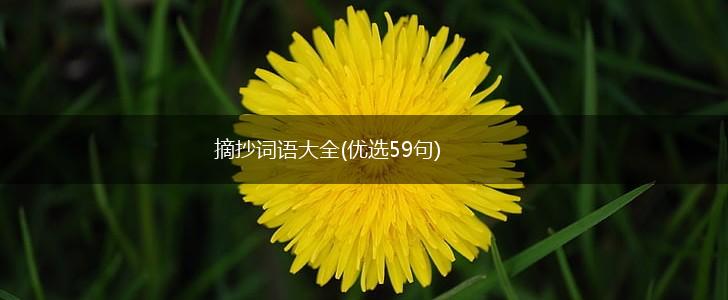 摘抄词语大全(优选59句),第1张 摘抄词语大全(优选59句),第1张