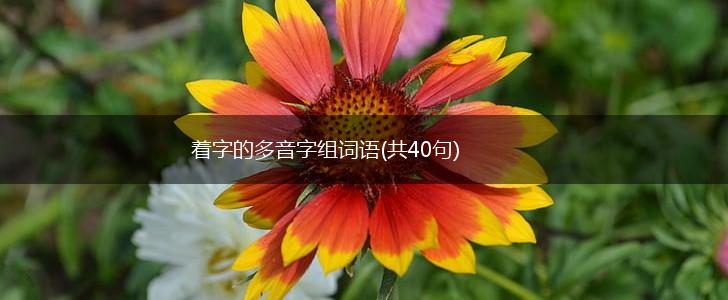 着字的多音字组词语(共40句),第1张