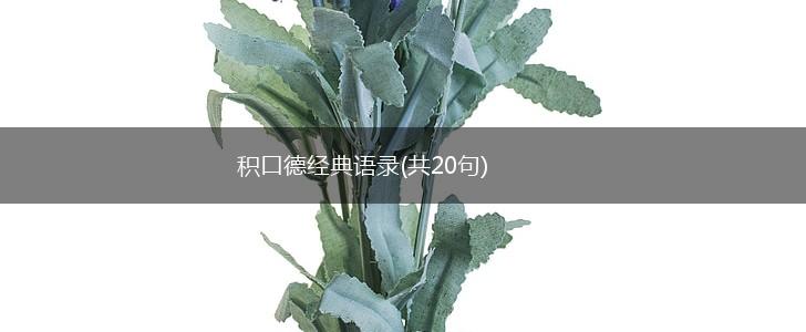 积口德经典语录(共20句),第1张