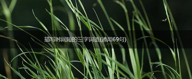 描写时间短的三字词语(通用69句),第1张