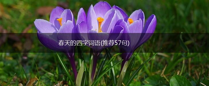 春天的四字词语(推荐57句),第1张