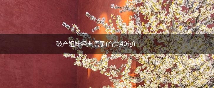 破产姐妹经典语录(合集40句),第1张