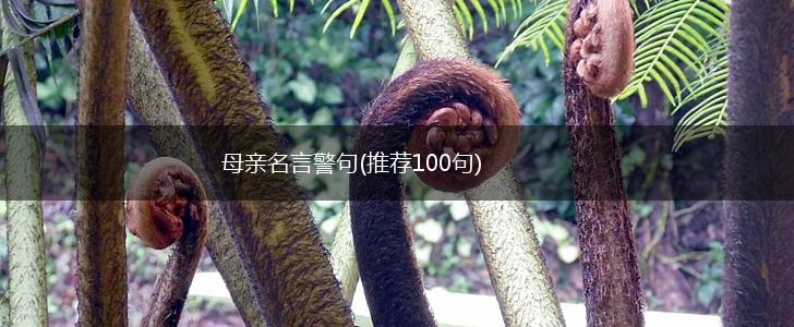 母亲名言警句(推荐100句),第1张