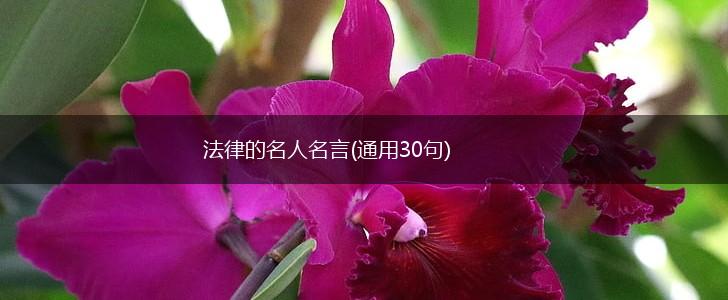 法律的名人名言(通用30句),第1张 法律的名人名言(通用30句),第1张