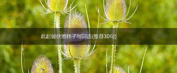 此起彼伏照样子写词语(推荐30句),第1张