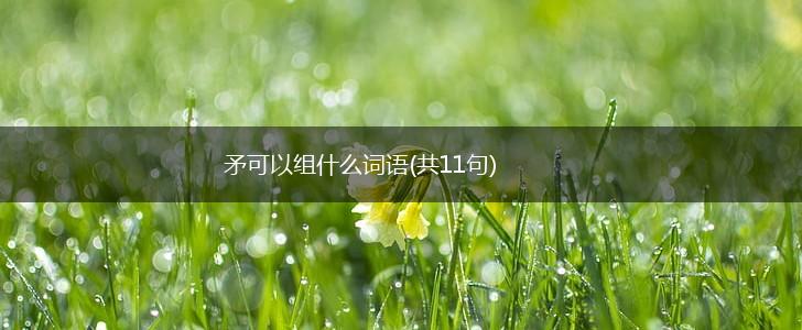 矛可以组什么词语(共11句),第1张