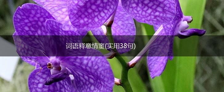 词语释意情窦(实用38句),第1张 词语释意情窦(实用38句),第1张