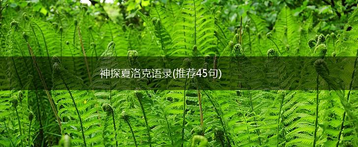 神探夏洛克语录(推荐45句),第1张