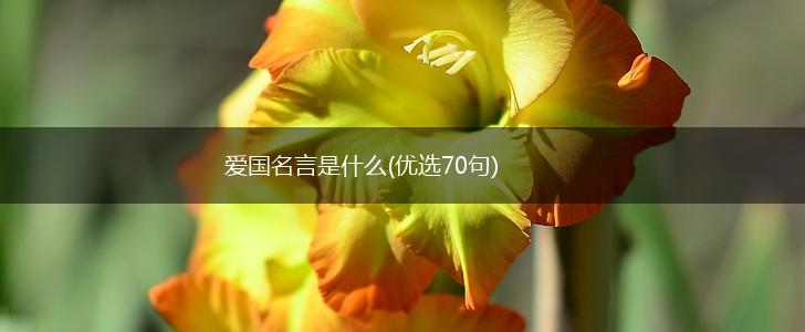 爱国名言是什么(优选70句),第1张