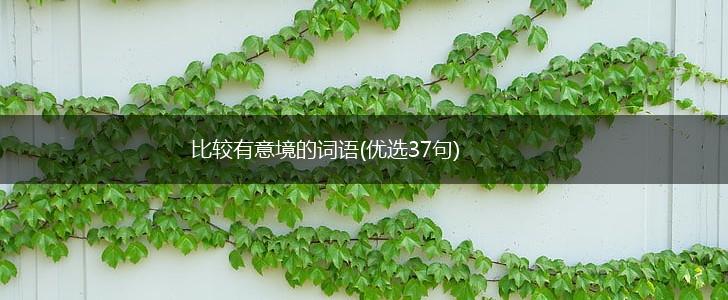 比较有意境的词语(优选37句),第1张
