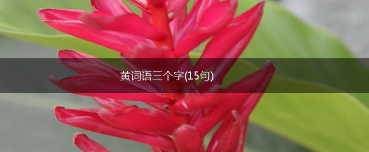 黄词语三个字(15句),第1张