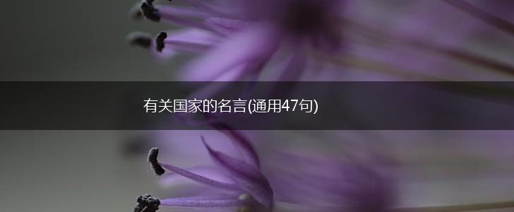 有关国家的名言(通用47句),第1张 有关国家的名言(通用47句),第1张
