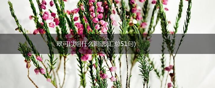 翠可以组什么词语(汇总51句),第1张