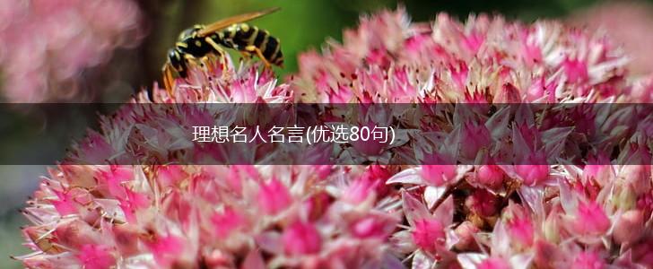 理想名人名言(优选80句),第1张 理想名人名言(优选80句),第1张