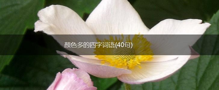 颜色多的四字词语(40句),第1张