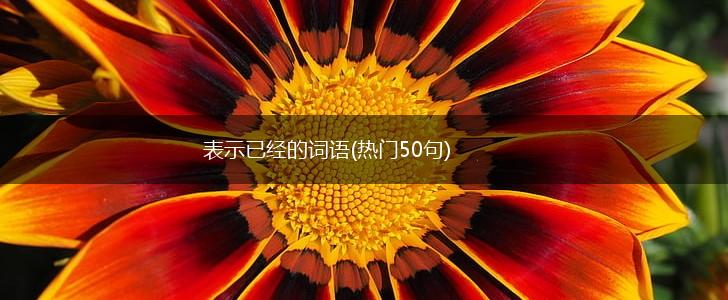 表示已经的词语(热门50句),第1张