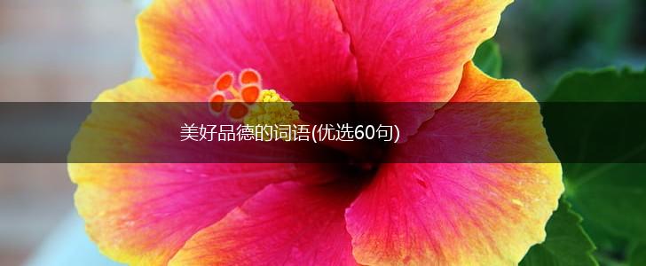 美好品德的词语(优选60句),第1张 美好品德的词语(优选60句),第1张