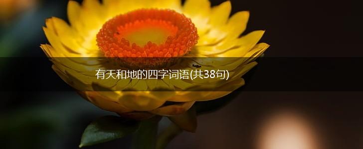 有天和地的四字词语(共38句),第1张