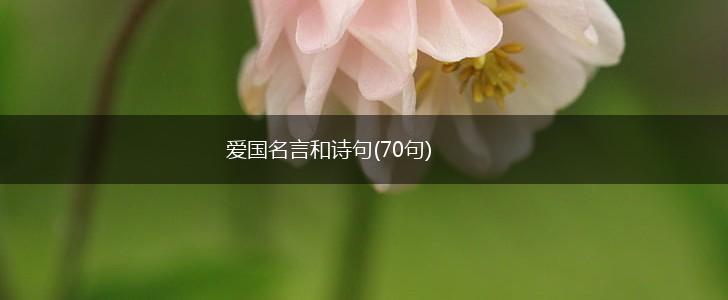 爱国名言和诗句(70句),第1张