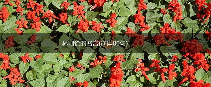 林则徐的名言(通用80句),第1张