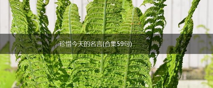 珍惜今天的名言(合集59句),第1张