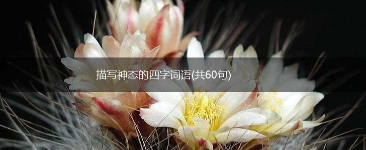 描写神态的四字词语(共60句),第1张