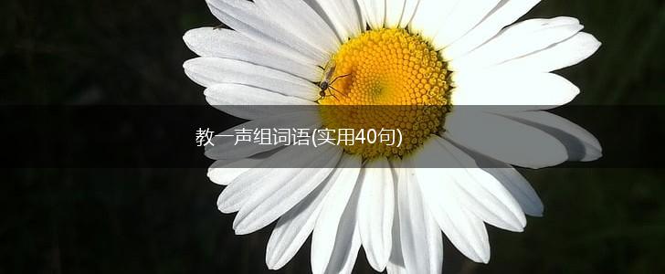 教一声组词语(实用40句),第1张