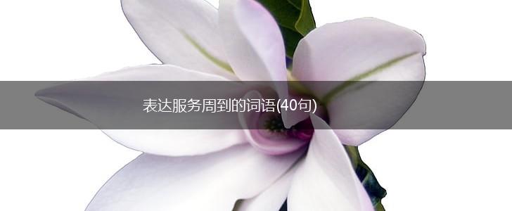 表达服务周到的词语(40句),第1张