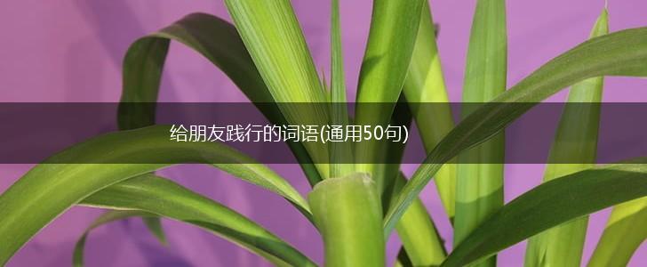 给朋友践行的词语(通用50句),第1张 给朋友践行的词语(通用50句),第1张
