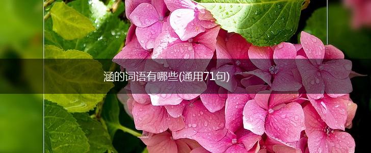 涵的词语有哪些(通用71句),第1张