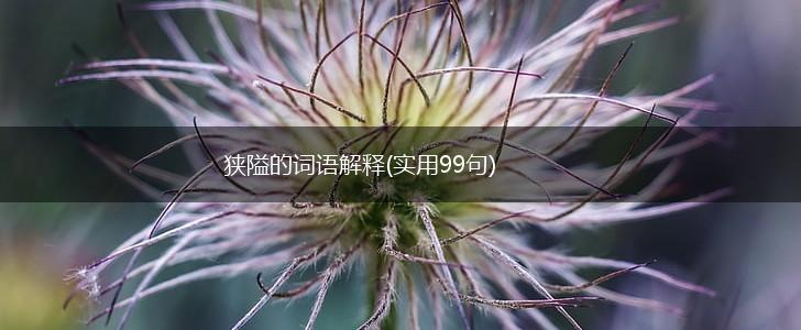 狭隘的词语解释(实用99句),第1张