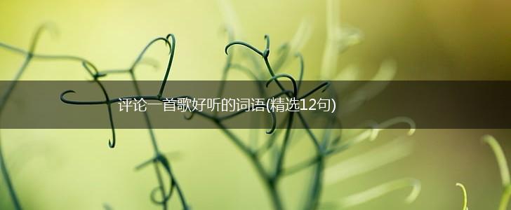 评论一首歌好听的词语(精选12句),第1张