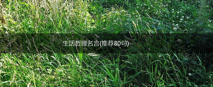 生活哲理名言(推荐80句),第1张 生活哲理名言(推荐80句),第1张