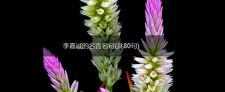 李嘉诚的名言名句(共80句),第1张