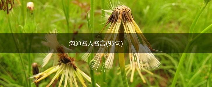 沟通名人名言(95句),第1张 沟通名人名言(95句),第1张