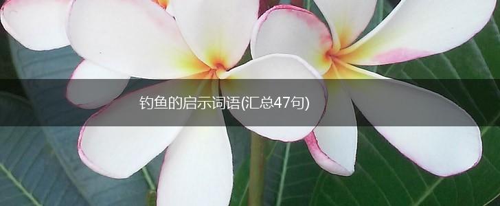 钓鱼的启示词语(汇总47句),第1张