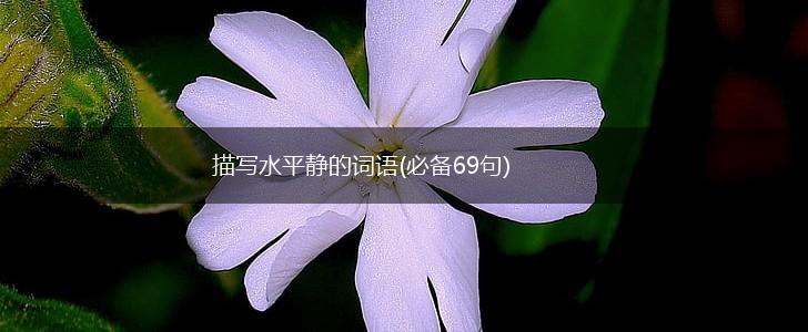 描写水平静的词语(必备69句),第1张