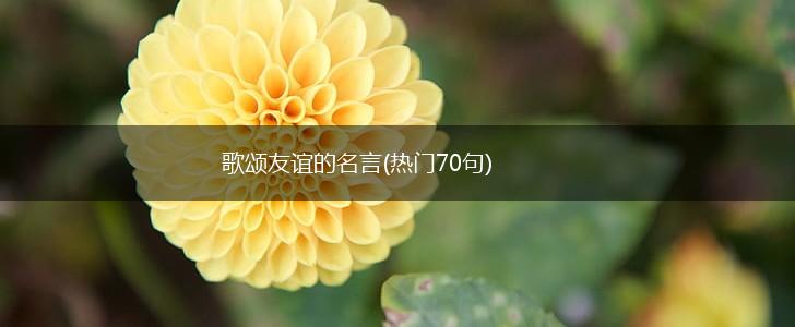 歌颂友谊的名言(热门70句),第1张