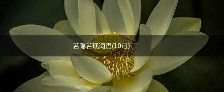 若隐若现词语(10句),第1张