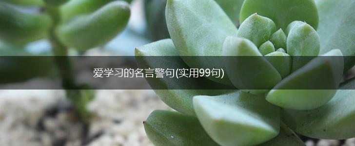 爱学习的名言警句(实用99句),第1张