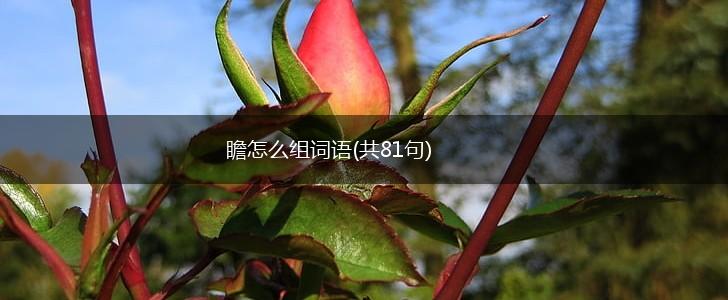 瞻怎么组词语(共81句),第1张