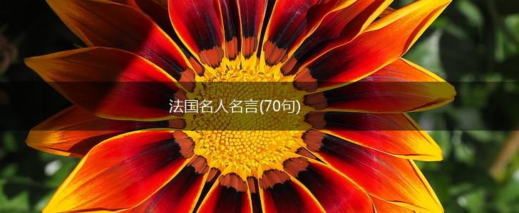 法国名人名言(70句),第1张