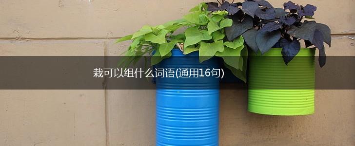 栽可以组什么词语(通用16句),第1张