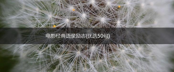 电影经典语录励志(优选50句),第1张