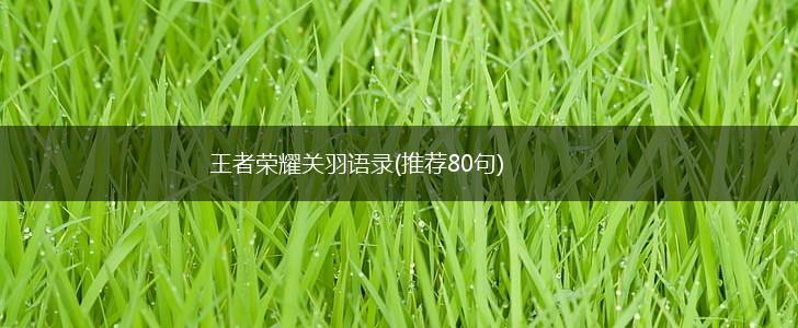 王者荣耀关羽语录(推荐80句),第1张