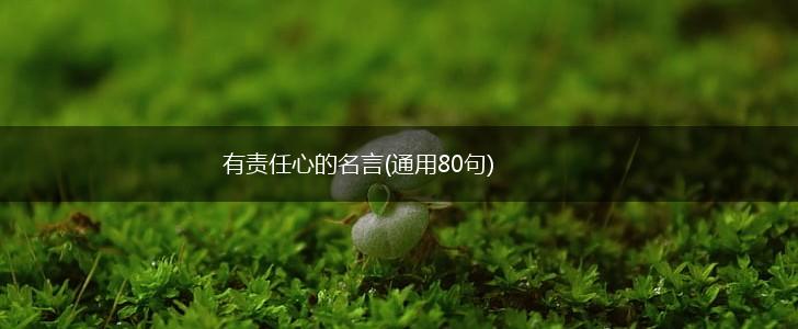 有责任心的名言(通用80句),第1张 有责任心的名言(通用80句),第1张