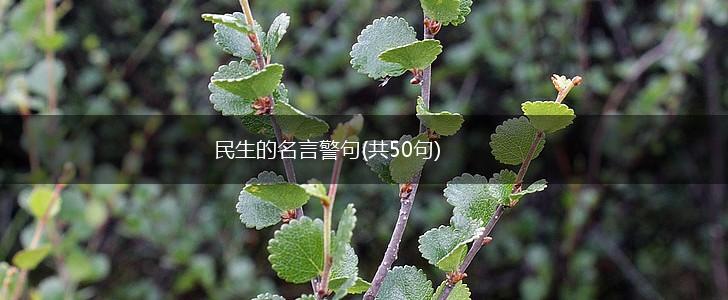 民生的名言警句(共50句),第1张