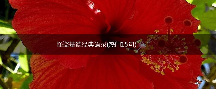 怪盗基德经典语录(热门15句),第1张