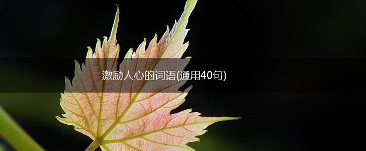 激励人心的词语(通用40句),第1张