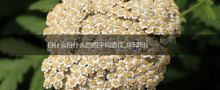 自什么自什么的四字词语(汇总52句),第1张
